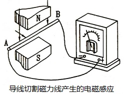 dcgy